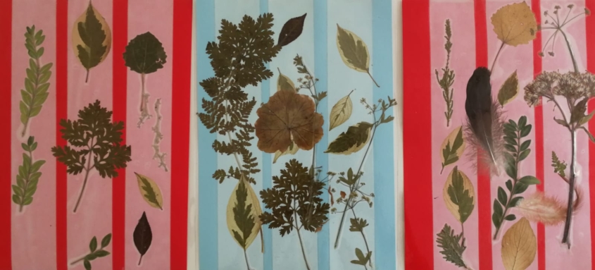 Vasaras brīvlaiks arī Mazajām Rokām un Lieliskajām Ķepām!